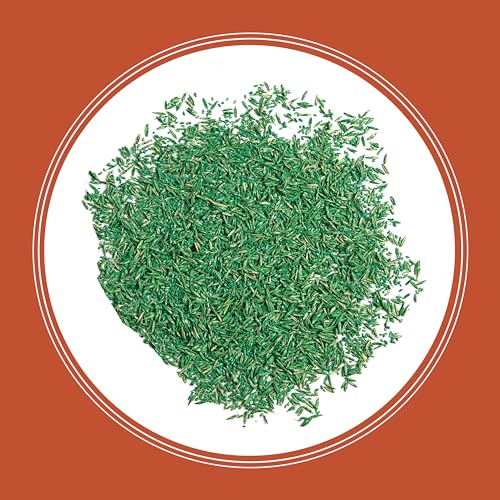 Pennington Bermudagrass Southern Grass Seeds for Lawn, 5 lb - size: 5 LB