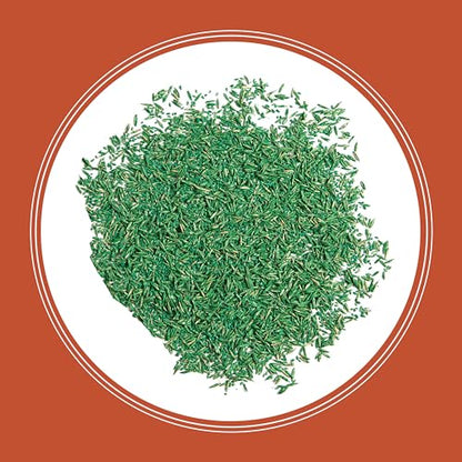 Pennington Bermudagrass Southern Grass Seeds for Lawn, 5 lb - size: 5 LB