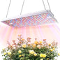 MetryGrow Plant Grow Light, [Smart APP 2x3 Ft Coverage] Genuine 100W Output LED Full Spectrum for Indoor Plants, 8-Level Brightness (Use Daisy-Chaining Hanging, Only Light Panel，No Control Panel) - size: 100W(Only Light Panel)