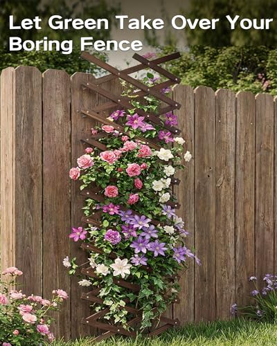 Expandable Wood Trellis for Climbing Plants & Wall Decor, French Country