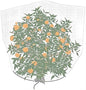 Agfabric Bird Netting 96" Hx84 W Garden Netting Insect Pest Barrier,Plant Cover Fruit Tree Netting Mesh Protection Bag with Drawstring,White - color: 1pack, size: 96"x84"