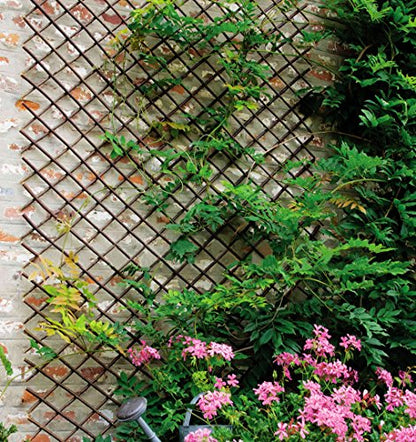 Expandable Garden Trellis Plant Support Willow Lattice Fence Panel for Climbing Plants Vine Ivy Rose Cucumbers Clematis 36X92 Inch