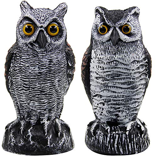 Hausse 2 Pack Fake Horned Owl Bird Scarecrow Decoy 10.5 Inch Height, Plastic Deterrents, Halloween Decoration, Nature Enemy Pest Repellent for Outdoor Garden Yard