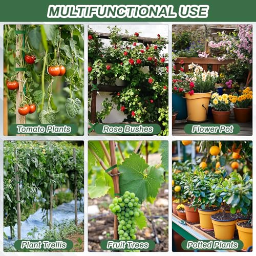 MAQIHAN Plant Tape for Climbing Plants - 32.8Ft 1/2" Reusable Garden Tape