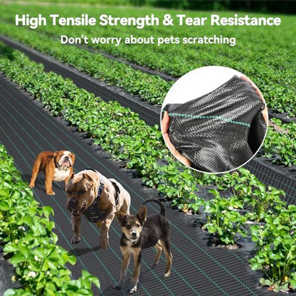 iropro Weed Barrier Fabric Heavy Duty 4ft x 100ft Landscape Fabric - size: 4ft x100ft