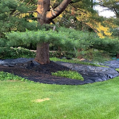 Dewitt Pro-5 Weed Barrier Fabric 5 oz, 6 x 250 Feet – Heavy-Duty - size: 1 Pack, style: 6' x 250'
