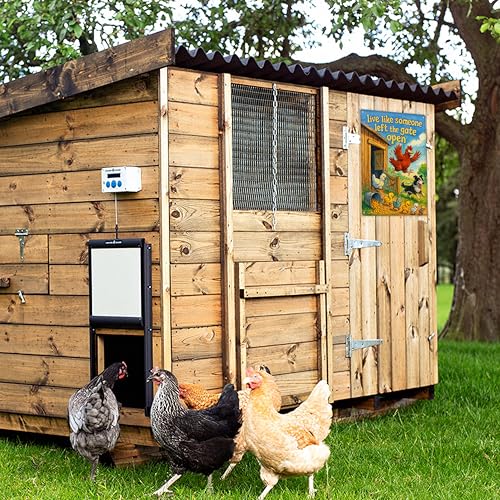 Live Like Someone Left the Gate Open Metal Chicken Signs for Outside - color: Gate Open