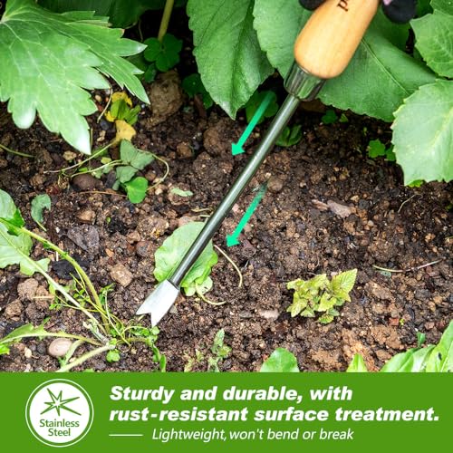 Dandelion Weeding Tool, Crack Weeder Hand Weeder Puller Tool - size: 13'' Dandelion Weeder