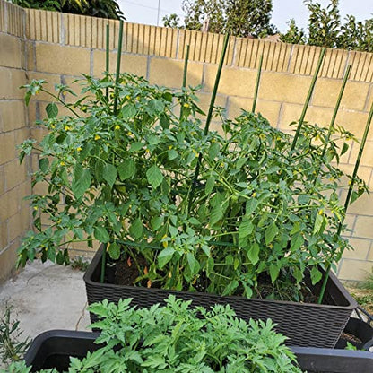 Garden Stakes, 48 Inch 4Ft Steel Plant Tomato Stakes, 25 Pack - size: 48 inch