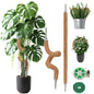2 Pack Moss Pole, 55 Inches Tall Bendable Coco Coir Poles Monstera Plant Support for Climbing Indoor Plants, DIY Plant Stakes Kit Support for Pothos, Philodendron,Potted Plants - size: 55 Inches(2 Pack)