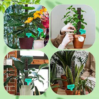 10 Set Plastic Moss Poles for Climbing Plants Indoor Stackable Self Watering Hollow Monstera Plant Support, Moss Not Included(Black) - color: Black