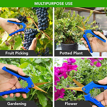 iPower GLPRNR6BLTI 6.5" Pruning Shear Hand Pruner for Gardening Potting with Titanium Coated Curved Precision Blades, 1-Pack, Blue - size: 1Pack, style: Blue