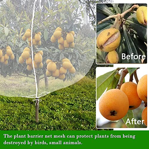 FONUNO Fruit Tree Netting with Zipper Birds Netting for Fruit Trees, White - color: White, size: 10 x 10 feet - 1 Pack