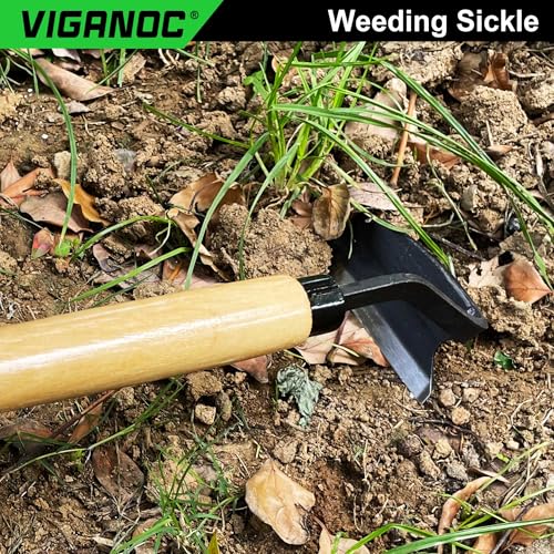 Japanese Wide Blade Garden Tool - Premium Quality Hand Hoes/Weeding Sickle is Very Sharp for Quick Work - size: Long Handle