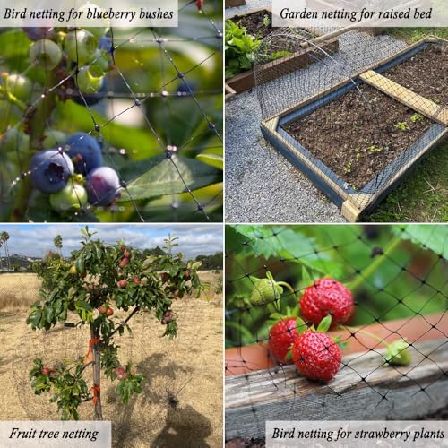 Bird Netting for Garden Protection, 13X40 FT Deer Fence Netting - size: 13x40 FT