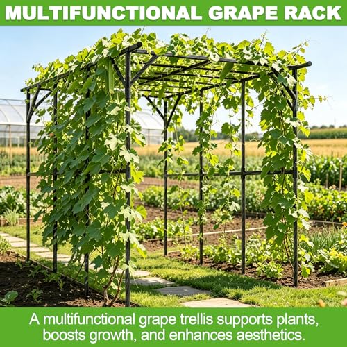 BUKLIYN Garden Arch - Grape Vine Trellis Size: 134.7 * 78.7 * 86.6 inches - size: One Leg-135×79×87in