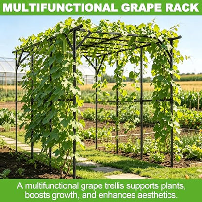 BUKLIYN Garden Arch - Grape Vine Trellis Size: 134.7 * 78.7 * 86.6 inches - size: One Leg-135×79×87in