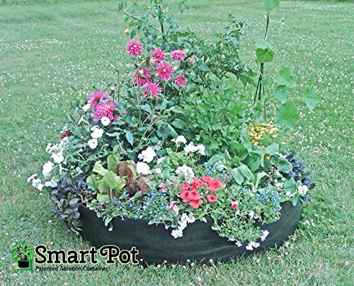Smart Pots 12050 Big Bag Bed Fabric Raised Planting Bed, Junior , Black - size: Junior