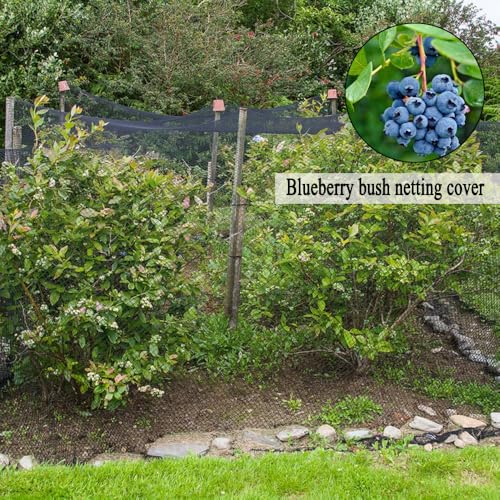 Junflying Bird Netting, 10x50 FT – 1/2" Mesh, Woven Garden Netting - size: 10x50 FT-1/2"