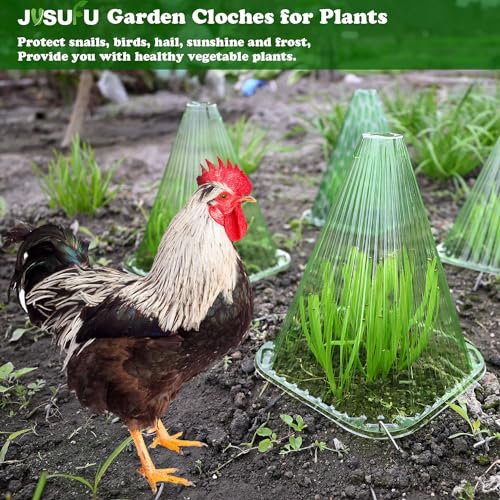 Pack 40 Garden Cloches for Plants, Reusable Bell Plant Cover - color: Dark green 40