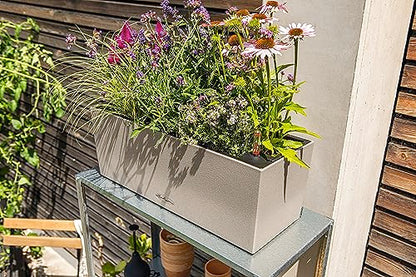 Lechuza BALCONERA Stone 50 Sand Beige, Self-Watering Window Box (Railing Planter), H7.5 L19.7 W7.5 in - color: Sandy Beige, style: 50