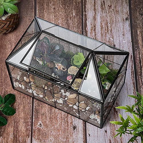 Ferrisland Glass Geometric Plant Terrarium, Clear Glass Succulent - size: 9.1" L x 5.4" W x 7.3" H