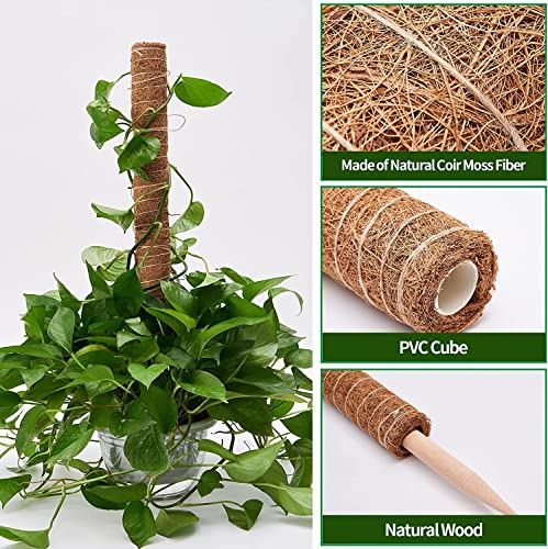 Eibikdi 101in Moss Pole for Plants Monstera 8 Pcs - size: 8 Packs