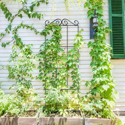 ARIFARO 4Pack 37.5'' Metal Garden Trellis for Climbing Plants Outdoor - size: 37.5 inches
