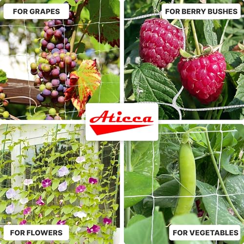 ATICCA 5x750 FT Heavy Duty Trellis Netting, 6-Inch Mesh, White Polyester - size: 5x750ft Polyester Trellis Netting