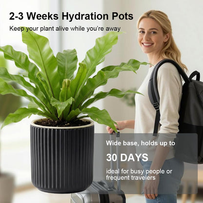 Small Ceramic self Watering Pot for Succulents, 4 inch, Black,2pack - color: Black, size: 4 inch