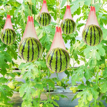 50 PCS Watermelon Nets,20 Inches Melon Hammock Red Onion Mesh Bags,Reusable Cantaloupes Hanging Mesh Bag with Drawstring for Trellis Vertical Garden Growing - size: 50 PCS 20 Inches Watermelon Nets