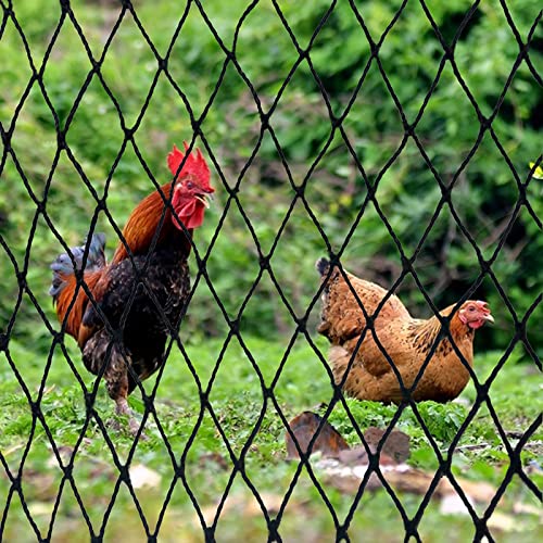 DQS Bird Netting 50' x 50', 1" Square Mesh Garden Netting, Chicken Coop Net - size: 1", 50' x50'