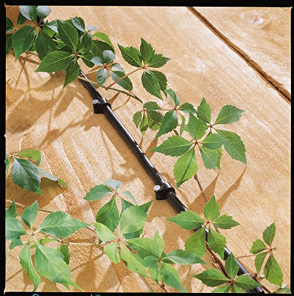 Orbit 56318 Hanging Basket Drip Irrigation Drip Watering Kit with 1-Outlet Digital Hose Faucet Sprinkler Timer - size: 1 pack, style: Traditional Timer