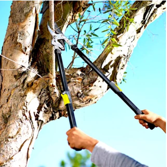 Long Reach 24 to 33 in. Ratcheting Bypass Lopper, 1.75" Cut, Steel Blade