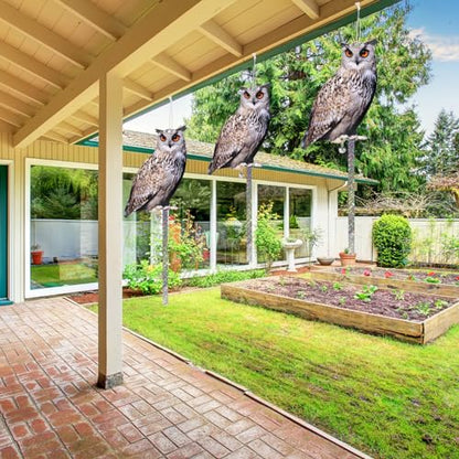 Owl to Keep Pigeons Away, 3 Pack Fake Owls, Pigeon Scare - color: Amazed Eagle 3pc