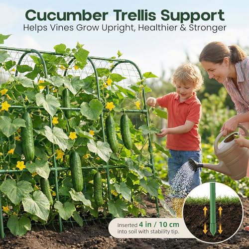 50x50 Cucumber Trellis for Raised Bed- A Frame Vegetable Garden Trellis