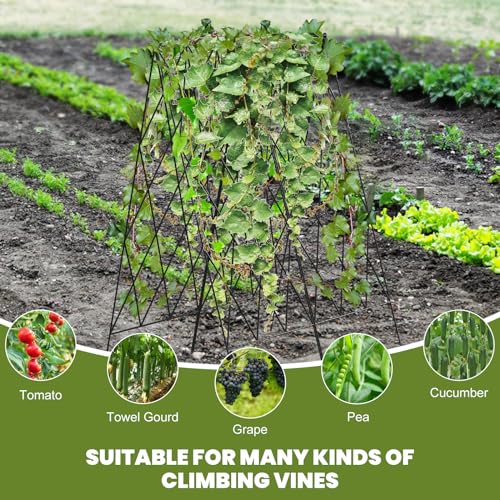 Cucumber Trellis 2 Pack,Foldable A-Frame Garden Trellis - color: Black, size: 39.4" H