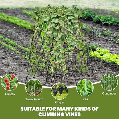 Cucumber Trellis 2 Pack,Foldable A-Frame Garden Trellis - color: Black, size: 39.4" H