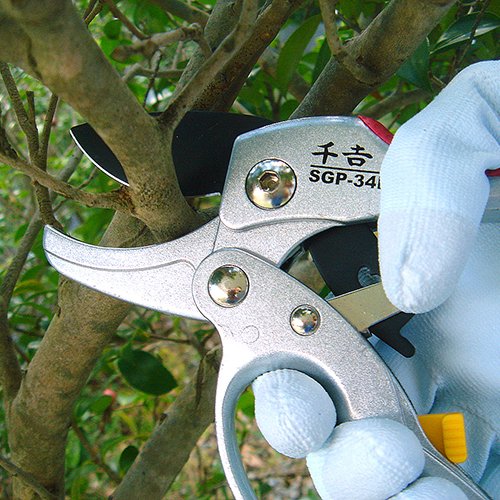 Senkichi Handy ratchet pruning scissors SGP-34R (japan import)