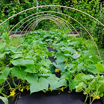 4ft x 50ft Weed Barrier Fabric, Heavy Duty Landscape Fabric Garden Cloth - size: 4ft x 50ft