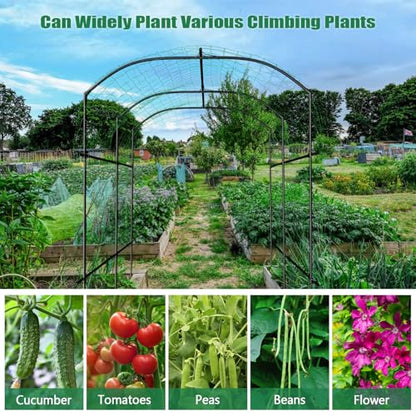 SUNYRISY Garden Arch Trellis for Climbing Plants Outdoor 87" x 71" x 75" - size: 87"H x 71"L x 75"W