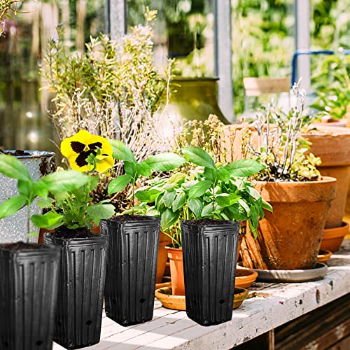 40 Pcs Plastic Deep Nursery Treepots, Tall Tree Pots Deep Seedling Pots - color: 40pcs