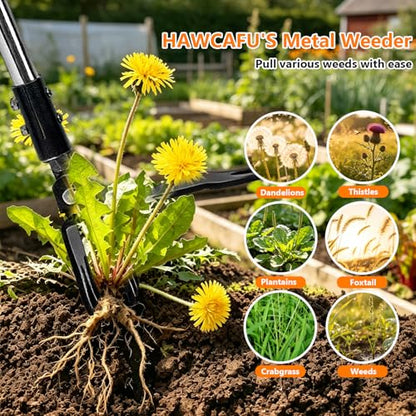 Weed Puller Tool Stand Up Hand Weeder Tool with Adjustable Long Handle, Weed Remover with Steel Head, Remove Weeds Root Easily Without Bending, Pulling or Kneeling for Lawn Garden(6 Claws) - size: 6 CLAWS
