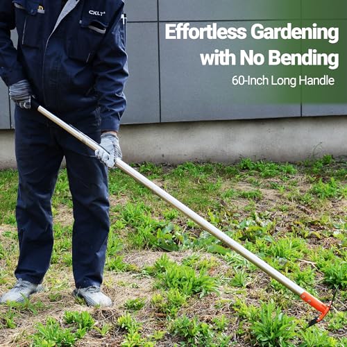 2-in-1 Garden Hoe and Weed Puller Rake 60 Inch Spring Steel Head - size: 60" Adjustable Handle