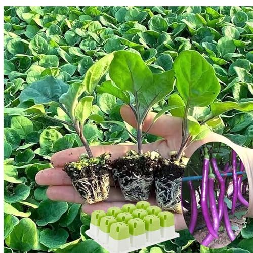 5pcs Seed Starter Tray,60 Cells Silicone Seeding Starter with Pop-Out Cells - size: 5PCS Green