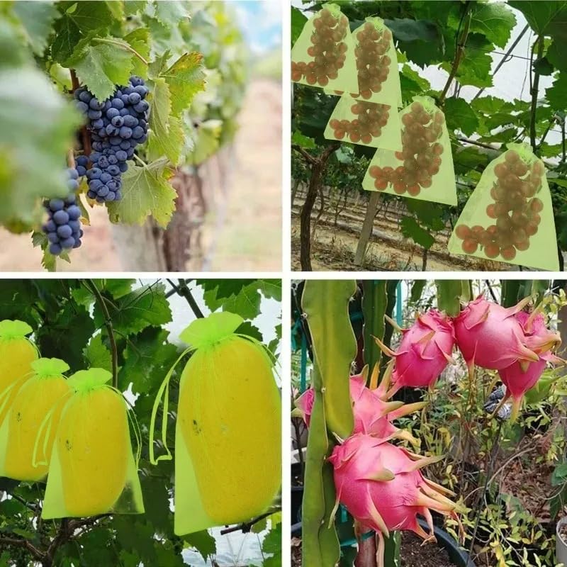 10Pcs/Set Fruit Protection Bags, Green Netting Cover Bags Drawstring Mesh Fruit Protectors Pest Barrier for Grapes Trees Veggies (Large, 20x30cm) - color: Medium