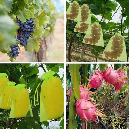 10Pcs/Set Fruit Protection Bags, Green Netting Cover Bags Drawstring Mesh Fruit Protectors Pest Barrier for Grapes Trees Veggies (Large, 20x30cm) - color: Medium