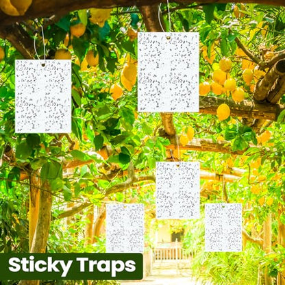 Qualirey 100 Pcs 6x8 Inch White Sticky Traps for Gnats - color: White