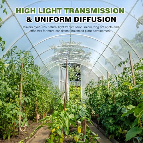 6 Mil Plastic Sheeting, 12x25 FT, Greenhouse Plastic,Heavy Duty - size: 12x25 FT