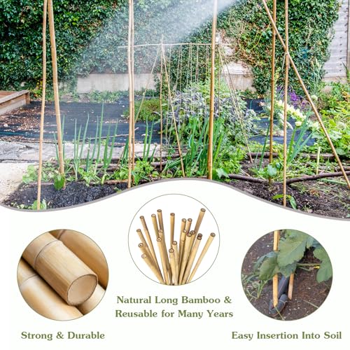 Plant Stakes 4.8FT, Natural Bamboo Stakes,20Pcs Sturdy Bamboo Garden Stakes - size: 4.8Ft, 20Pack